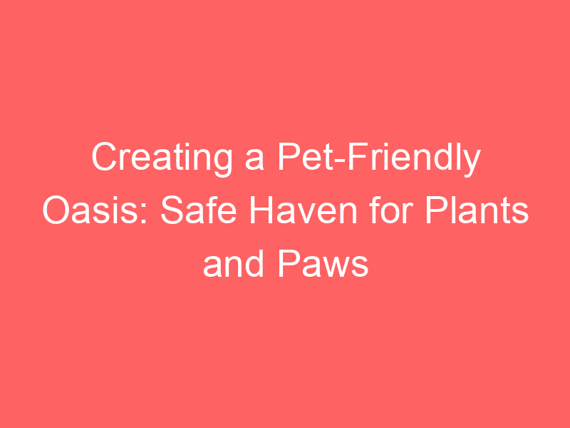 Creating a Pet-Friendly Oasis: Safe Haven for Plants and Paws