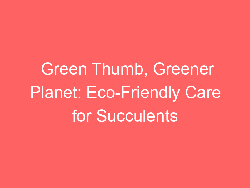 Green Thumb, Greener Planet: Eco-Friendly Care for Succulents