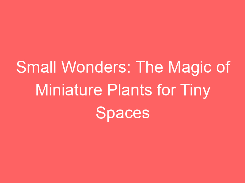 Small Wonders: The Magic of Miniature Plants for Tiny Spaces